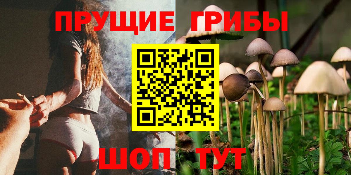 Топки  Галлюциногенные грибы Psilocybe  Вход с VPN 