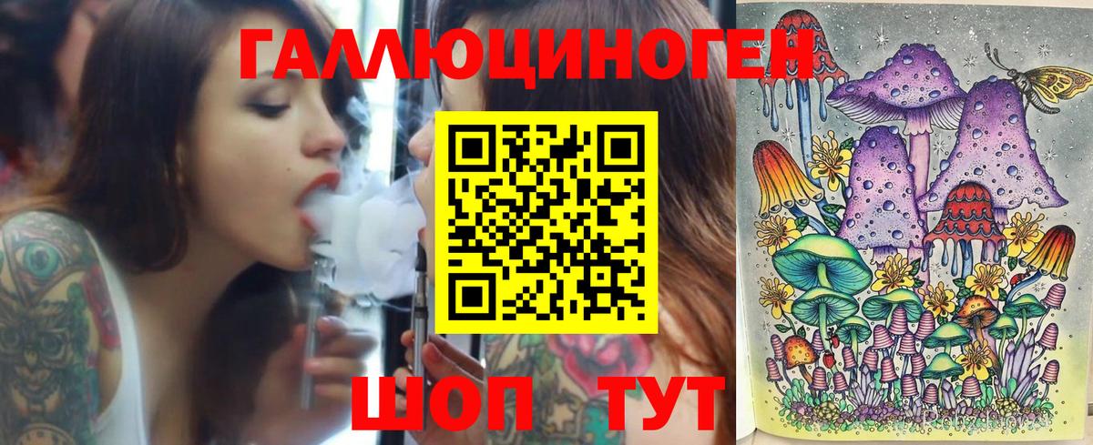 Псилоцибиновые грибы Psilocybe Топки